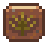 Palm Fossil
